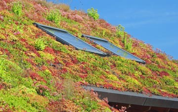 Botesdale living roof systems